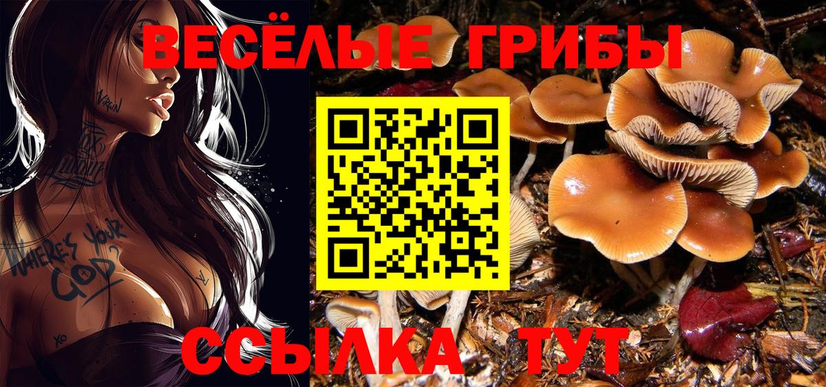 Березники  Конопля  Alpha-PVP СОЛЬ   Вейп ТГК  Cocaine  Вход с VPN  ГАШИШ  МЕФ кристаллы  COCAIN  Гашиш 