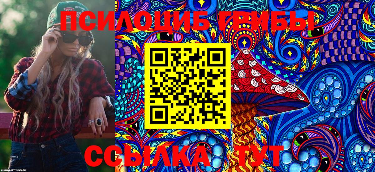 Псилоцибиновые грибы Psilocybe  Псилоцибиновые грибы мухоморы  Вход с VPN  Березники 